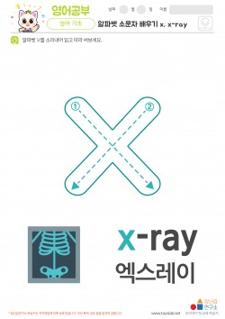 알파벳 소문자 배우기 x, x-ray 학습지