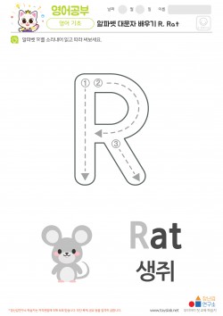 알파벳 대문자 배우기 R, Rat