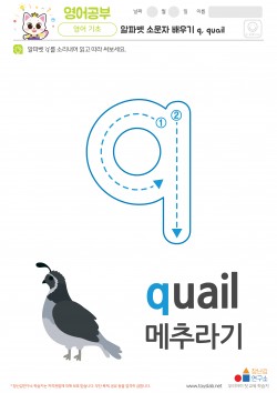 알파벳 소문자 배우기 q, quail 학습지