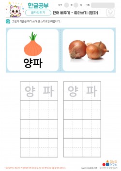 단어 배우기 - 따라쓰기 (양파) 학습지