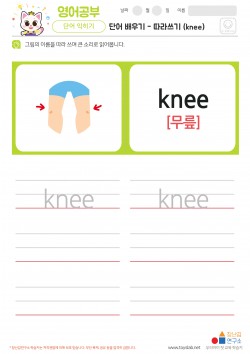 단어 배우기 - 따라쓰기 (knee) 학습지