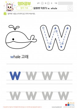 알파벳 소문자 배우기 w, whale