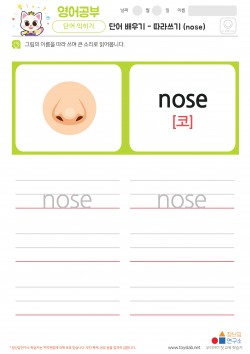 단어 배우기 - 따라쓰기 (nose) 학습지