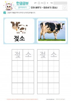 단어 배우기 - 따라쓰기 (젖소) 학습지