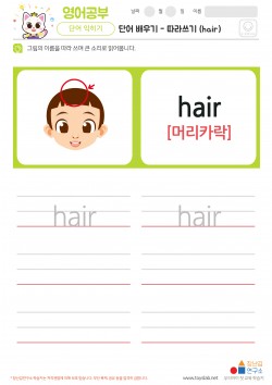 단어 배우기 - 따라쓰기 (hair) 학습지