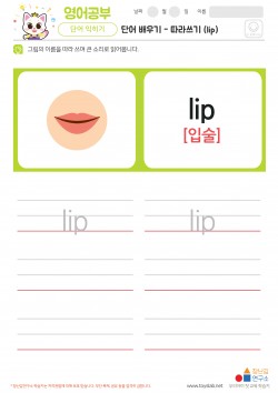 단어 배우기 - 따라쓰기 (lip) 학습지