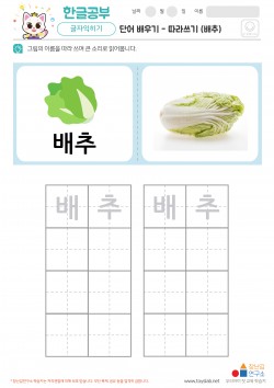 단어 배우기 - 따라쓰기 (배추) 학습지