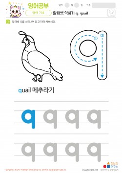 알파벳 소문자 배우기 q, quail