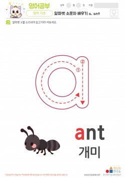 알파벳 소문자 배우기 a, ant 학습지