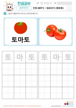 단어 배우기 - 따라쓰기 (토마토) 학습지